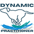 Dynamic Practitioner